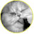 Zanuda48