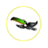 Elsynor