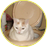 Арчибальд