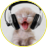 rmn