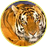 tiger196