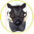 BlackBoar