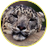 jaguarka