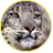 vant_vant