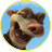 ukhof