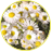 netta