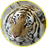 кениг
