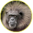 dwamanky