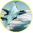 залетчик