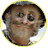 Меридиан