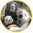 Три_Медведя