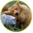 grizzly