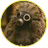KZKISW