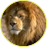 LLLev
