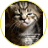 наив